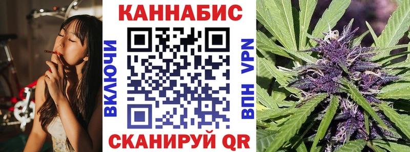 Каннабис VHQ  продажа наркотиков  Новосибирск 